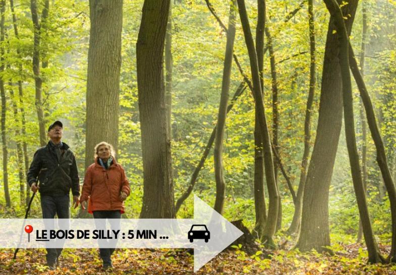 Le Gite - Graty Silly Luaran gambar